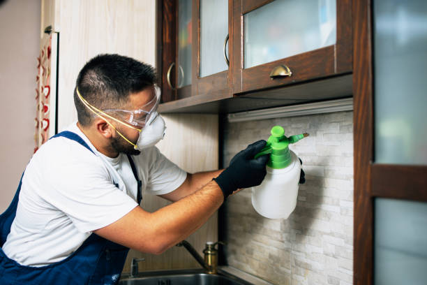 Best Residential Pest Control  in Cove Creek, NC