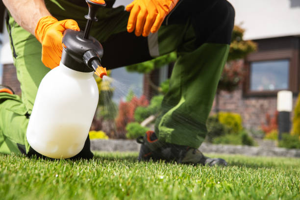 Pest Control Cost in Cove Creek, NC