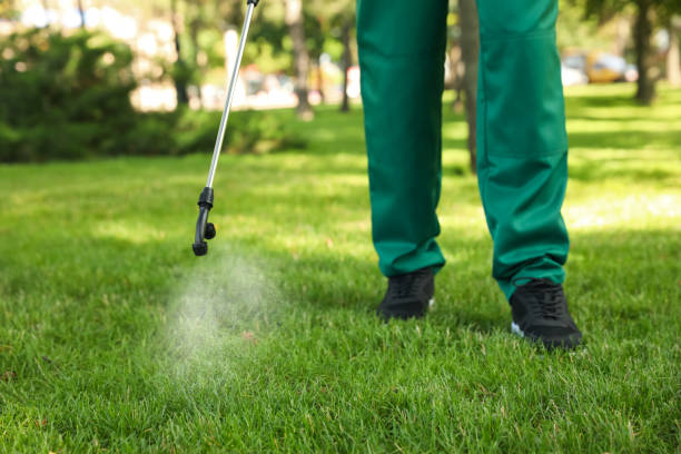 Best Wildlife Control Services  in Cove Creek, NC