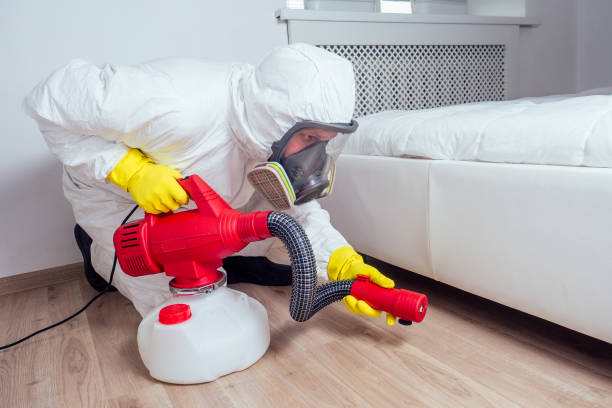 Best Affordable Pest Control Services  in Cove Creek, NC