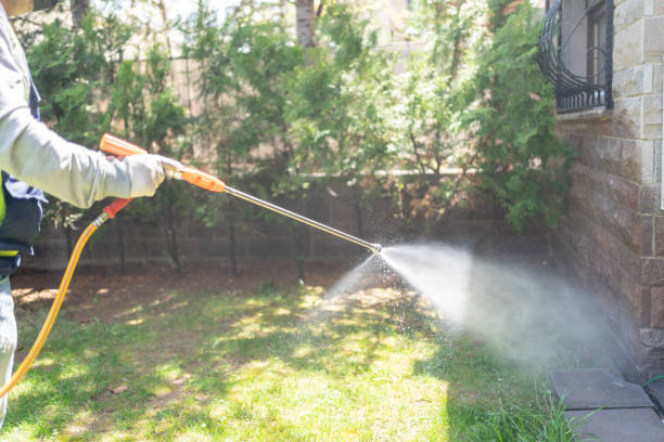 Best Local Pest Control Services  in Cove Creek, NC