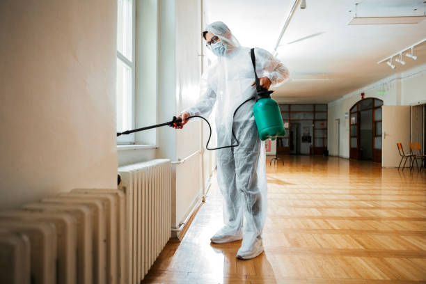 Best Flea Control Services  in Cove Creek, NC